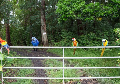 maui-upcountry-tour-tour-plate